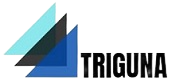 Team Triguna